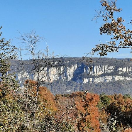 Gite Des 2 Lions Murs-et-Gelignieux Exteriör bild
