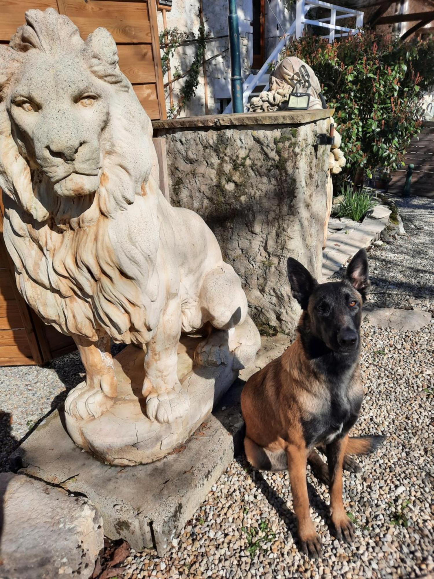 Gite Des 2 Lions Murs-et-Gelignieux Exteriör bild
